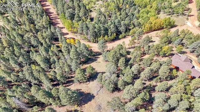 1058 Bennett Dr, Cripple Creek CO, 80813 land for sale