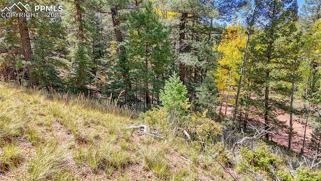 Listing photo 3 for 1058 Bennett Dr, Cripple Creek CO 80813