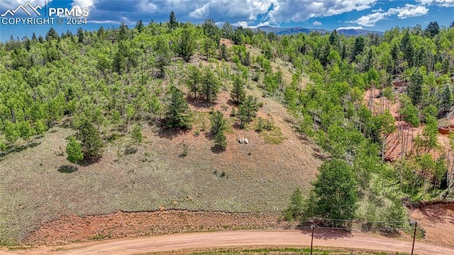 348 Granite Ln, Cripple Creek CO, 80813 land for sale