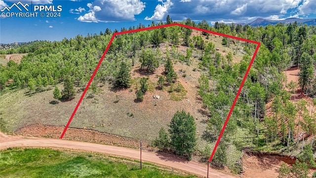 Listing photo 2 for 348 Granite Ln, Cripple Creek CO 80813