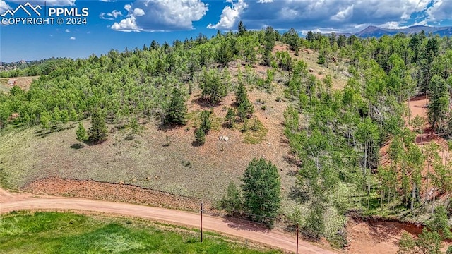 Listing photo 3 for 348 Granite Ln, Cripple Creek CO 80813