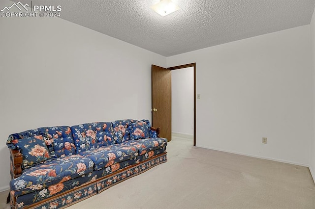 interior space with carpet flooring and a textured ceiling