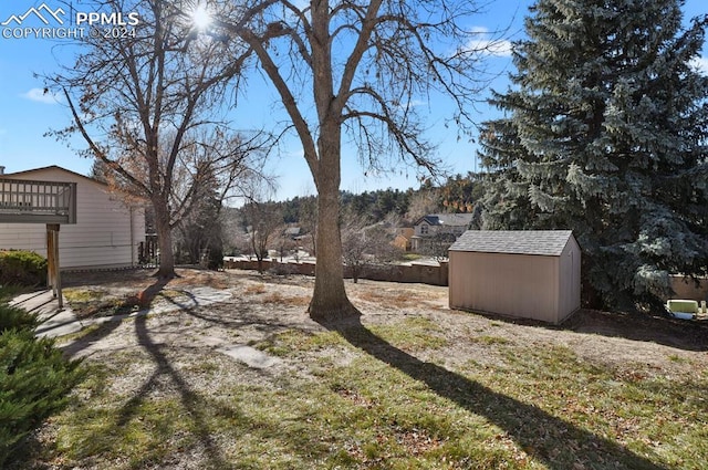 view of yard with a shed