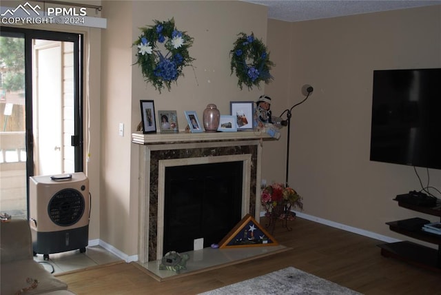 living room with wood-type flooring and a high end fireplace