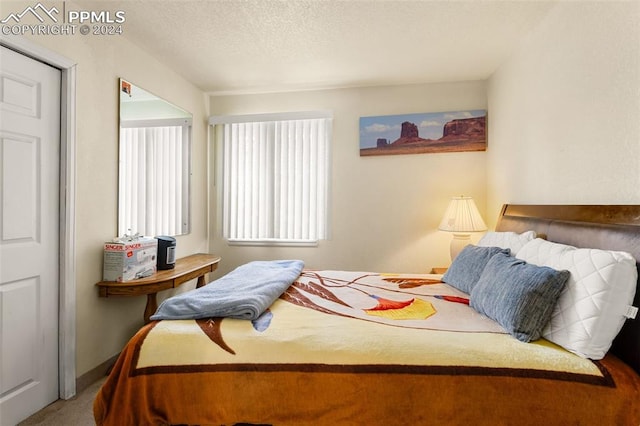 carpeted bedroom with a textured ceiling