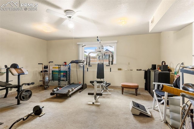 exercise room featuring carpet and a textured ceiling