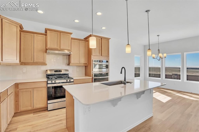 kitchen featuring appliances with stainless steel finishes, a sink, backsplash, light wood finished floors, and recessed lighting