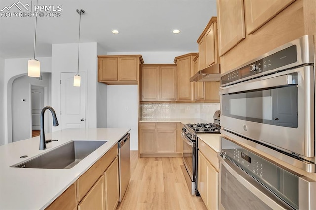 kitchen featuring a sink, appliances with stainless steel finishes, under cabinet range hood, light wood-style flooring, and decorative backsplash