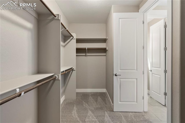 spacious closet with light colored carpet