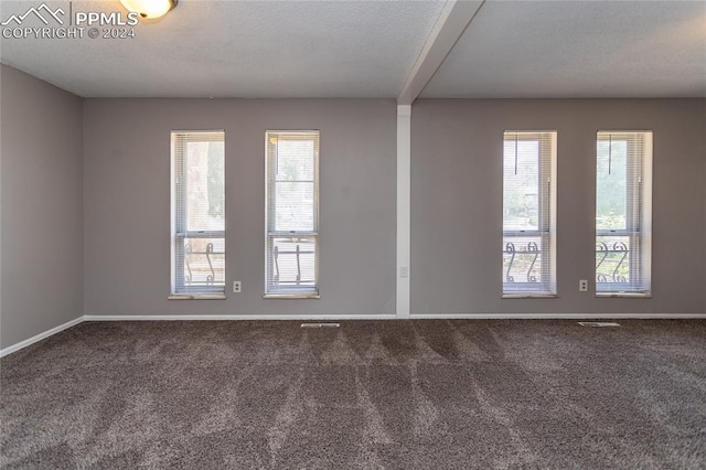 spare room with carpet floors and beam ceiling