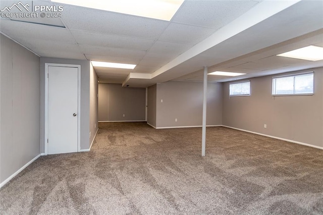 basement featuring a paneled ceiling and carpet floors