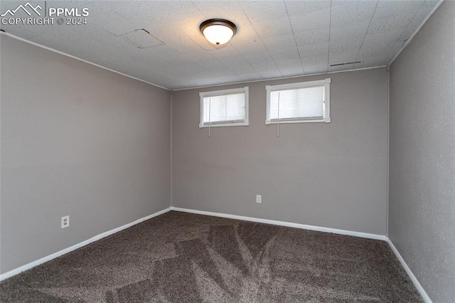 unfurnished room featuring carpet floors