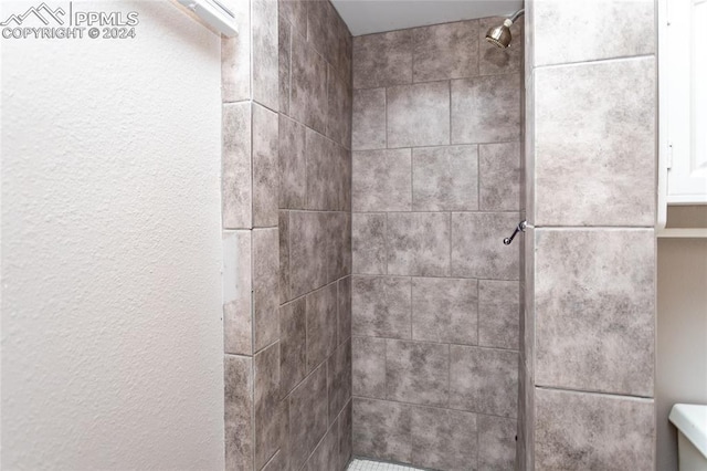 details with toilet and tiled shower