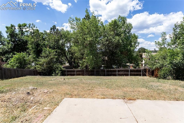 view of yard featuring a patio