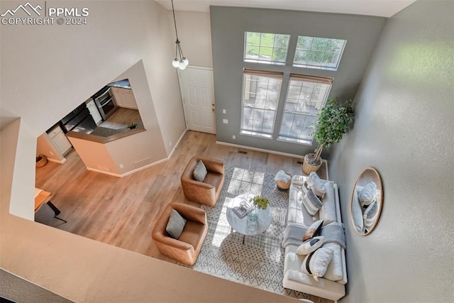 living room featuring a high ceiling and light wood-type flooring