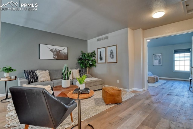 living room with light hardwood / wood-style floors