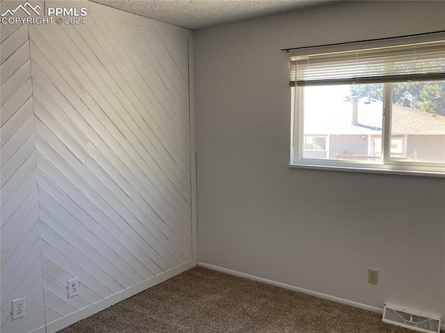 carpeted spare room featuring wooden walls and a textured ceiling