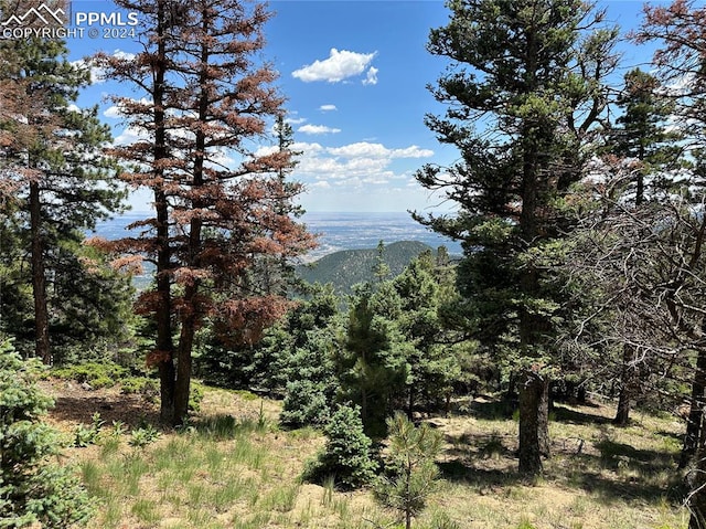 6860 Eagle Mountain Rd, Manitou Springs CO, 80829 land for sale