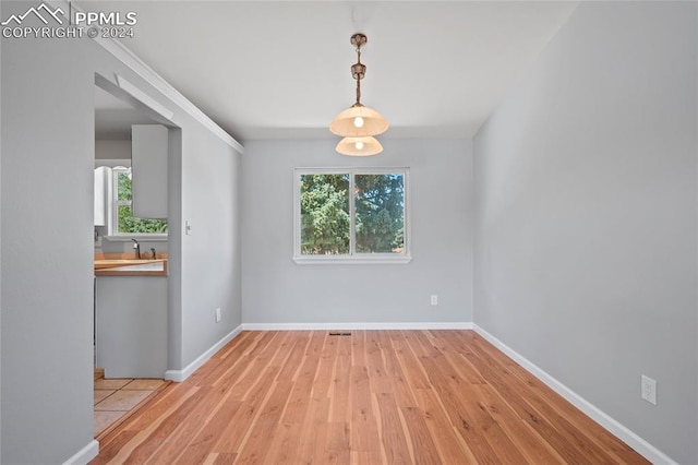 unfurnished dining area with a healthy amount of sunlight, sink, and light wood-type flooring