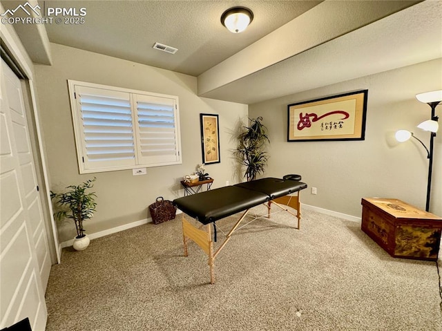 home office with a textured ceiling and carpet