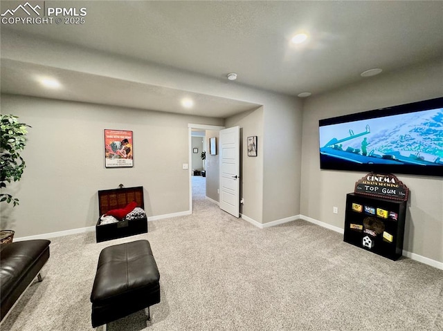 cinema room with carpet