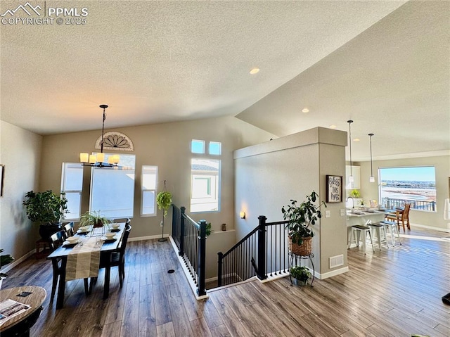 interior space with vaulted ceiling, a healthy amount of sunlight, and hardwood / wood-style floors