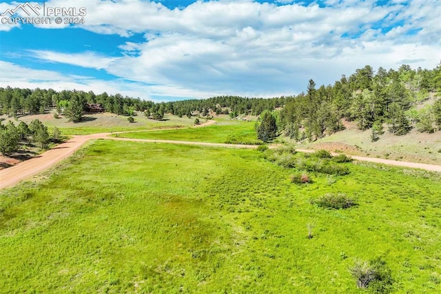 921 Kiowa Rd, Florissant CO, 80816 land for sale