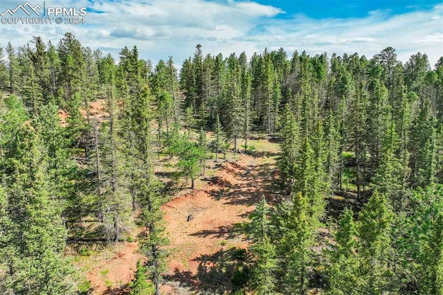 Listing photo 3 for 921 Kiowa Rd, Florissant CO 80816