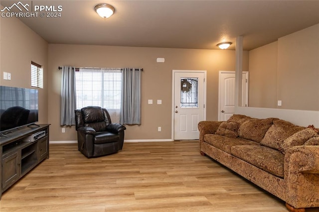 living room featuring light wood-type flooring