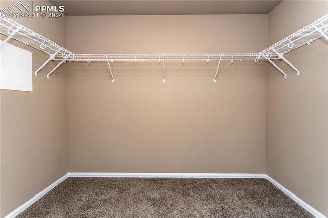 spacious closet featuring carpet