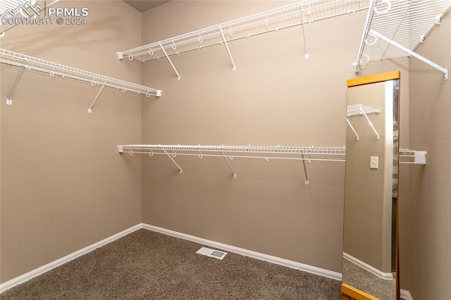 walk in closet with carpet floors