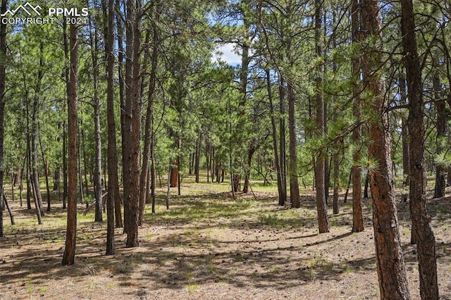 7014 Burgess Rd, Colorado Springs CO, 80908 land for sale