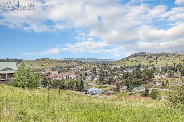 Listing photo 2 for N Hayden St, Cripple Creek CO 80813