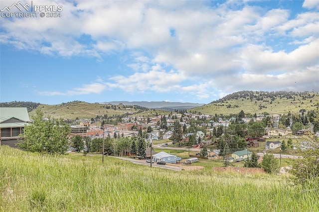 Listing photo 2 for 159 N Hayden St, Cripple Creek CO 80813