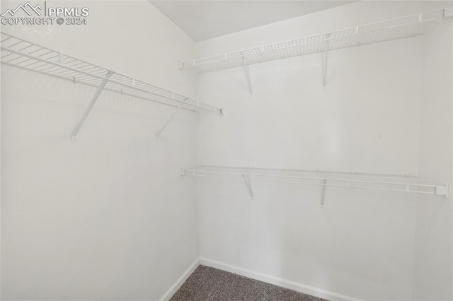 spacious closet featuring carpet