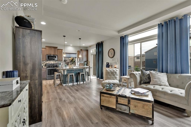 living room featuring light hardwood / wood-style floors and a raised ceiling