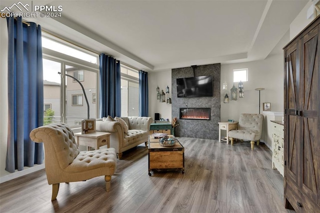 living room featuring a large fireplace and light wood-type flooring