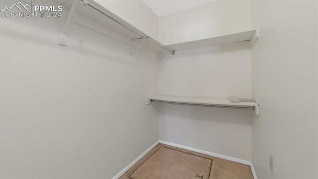 spacious closet with carpet floors