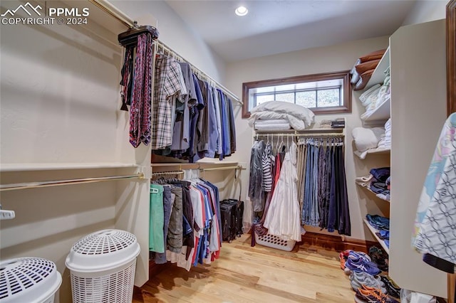 4950 Longwood Pt, Colorado Springs, CO 80906 - walk in closet featuring wood finished floors