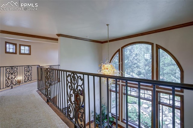 4950 Longwood Pt, Colorado Springs, CO 80906 - corridor featuring carpet, ornamental molding, and a chandelier