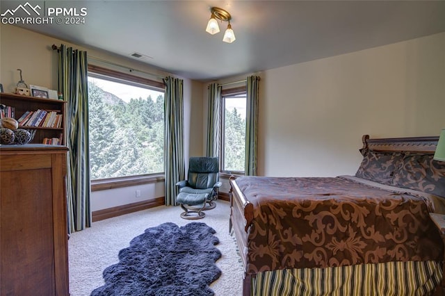 4950 Longwood Pt, Colorado Springs, CO 80906 - bedroom with visible vents, baseboards, and carpet flooring