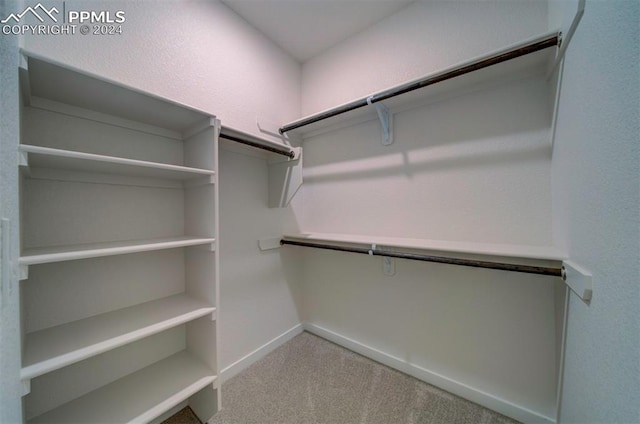 spacious closet featuring carpet floors