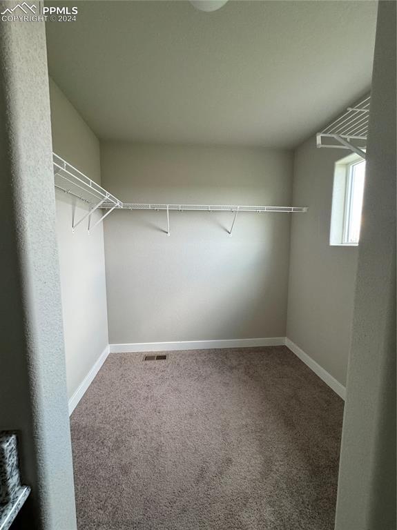 walk in closet with carpet