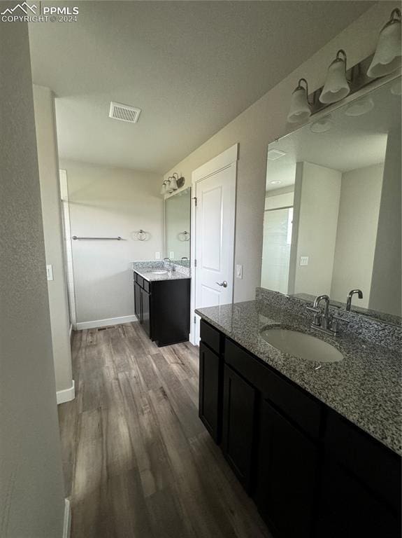 bathroom featuring hardwood / wood-style flooring and vanity