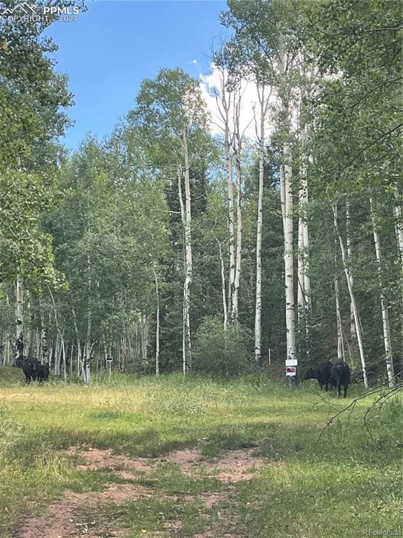 48 Vivenda Way, Cripple Creek CO, 80813 land for sale