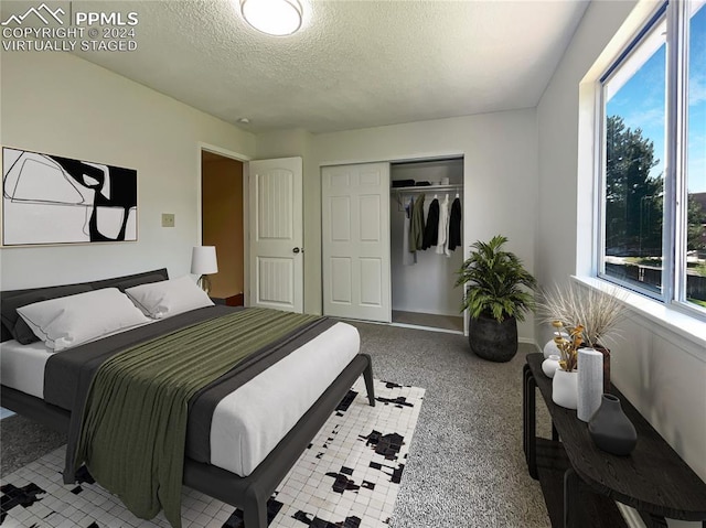 bedroom featuring multiple windows, a textured ceiling, and a closet