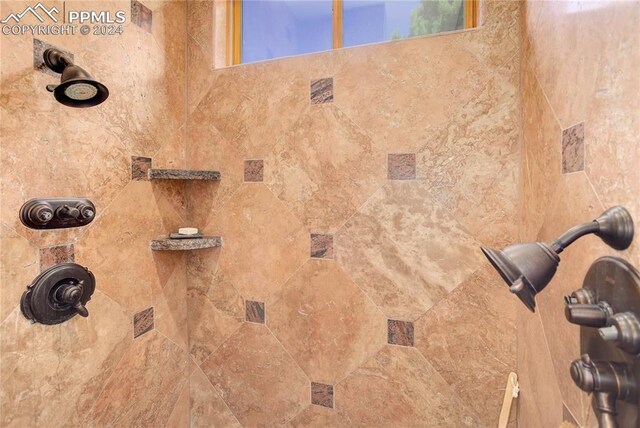 interior details featuring tiled shower