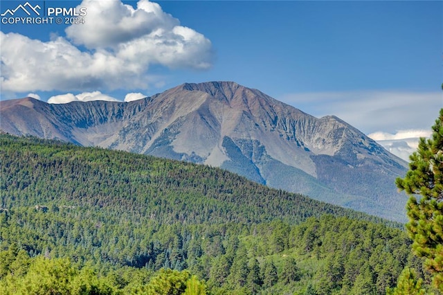 view of mountain feature with a wooded view