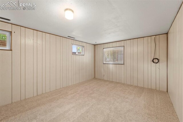 carpeted spare room with a wealth of natural light