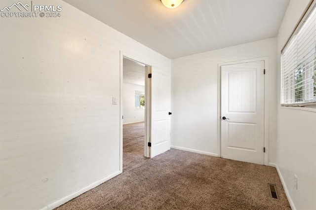 unfurnished bedroom featuring multiple windows and carpet flooring